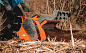 Мульчер Impulse HM1 1400 для трактора Standard R