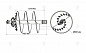 Шнекобур Impulse ШБКС-S5 (кат.3-5) D-800