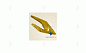 Адаптер Твэкс 314.03.23.21.202
