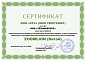 Мини-погрузчик ZOOMLION ZS120V